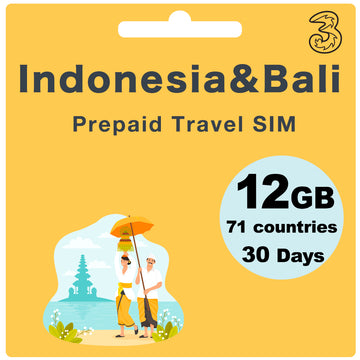 Indonesia Prepaid Travel SIM Card 12GB 30Days